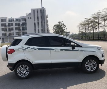 Ford EcoSport 2017 - Xe màu trắng