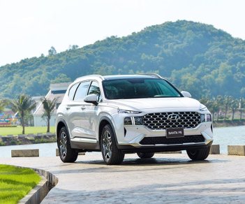 Hyundai Santa Fe 2023 - Hyundai Santa Fe 2023 số tự động tại Bình Thuận  