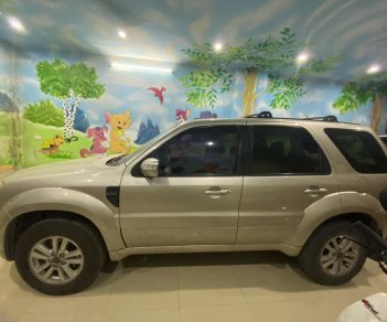 Ford Escape 2010 - Xe gia đình đi ít