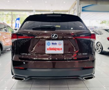 Lexus NX 300 2019 - Nhập khẩu Nhật Bản - Sang trọng - Đẳng cấp