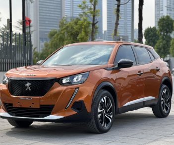 Peugeot 2008 2021 - Cam