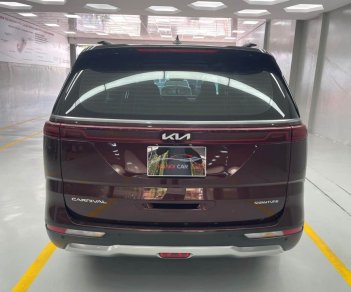 Kia Carnival 2022 - Biển tỉnh