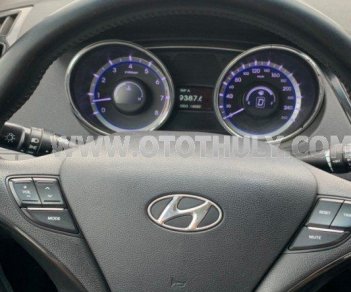 Hyundai Sonata 2010 - Tên tư nhân chạy 9 vạn km