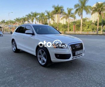 Audi Q5 Cần bán  Q.5 2010 - Cần bán Audi Q.5