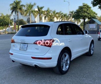 Audi Q5 Cần bán  Q.5 2010 - Cần bán Audi Q.5