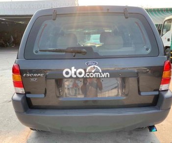 Ford Escape   số tự đông 2 cầu đẹp xuất sắc 2002 - Ford Escape số tự đông 2 cầu đẹp xuất sắc