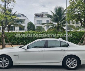 BMW 520i 2013 - Màu trắng nội thất kem