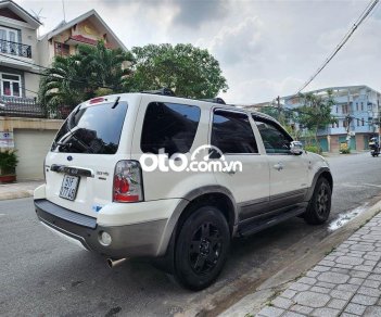 Ford Escape   3.0 màu trắng 2004 2004 - Ford Escape 3.0 màu trắng 2004