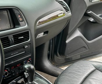 Audi Q5 2010 - Audi Q5 2010