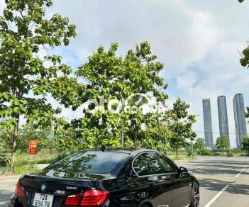 BMW 528i  528i dkld 2010 2010 - bmw 528i dkld 2010