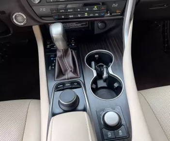 Lexus RX 300 2018 - Cần bán Lexus RX 300 đời 2018, màu nâu, nhập khẩu nguyên chiếc