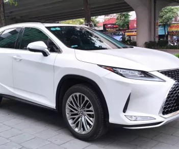 Lexus RX 300 2021 - Cần bán Lexus RX 300 đời 2021, màu nâu, nhập khẩu chính hãng, giá cả thương lượng