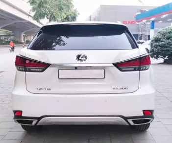 Lexus RX 300 2021 - Cần bán Lexus RX 300 đời 2021, màu nâu, nhập khẩu chính hãng, giá cả thương lượng